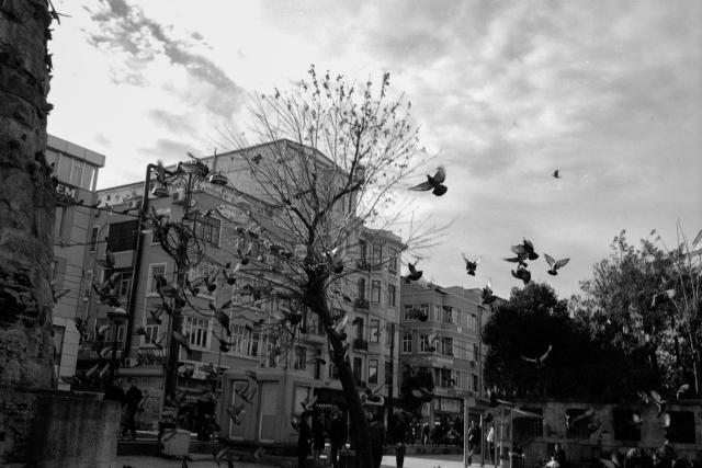 Social documentary in B&W